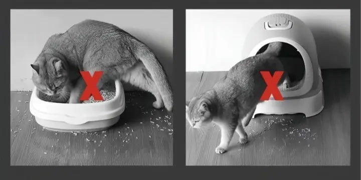 Kalsten | Cat litter mat – Keep your floors clean and litter-free!