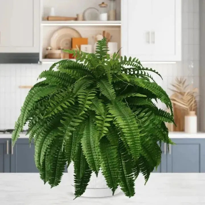 Kalsten | Artificial Boston Fern Bundle - UV resistant & easy to care for (18 stems)