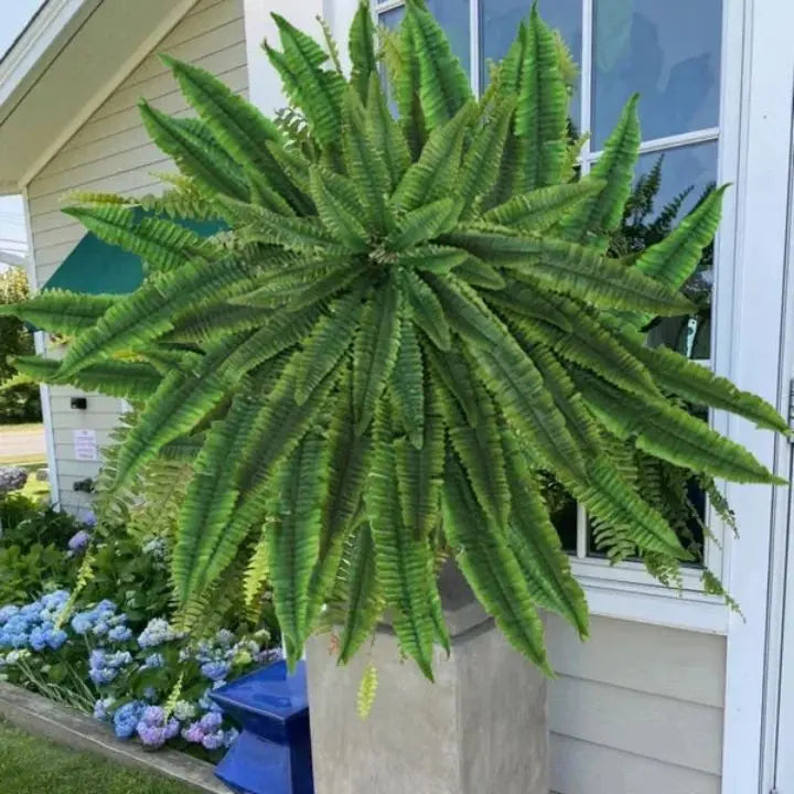 Kalsten | Artificial Boston Fern Bundle - UV resistant & easy to care for (18 stems)