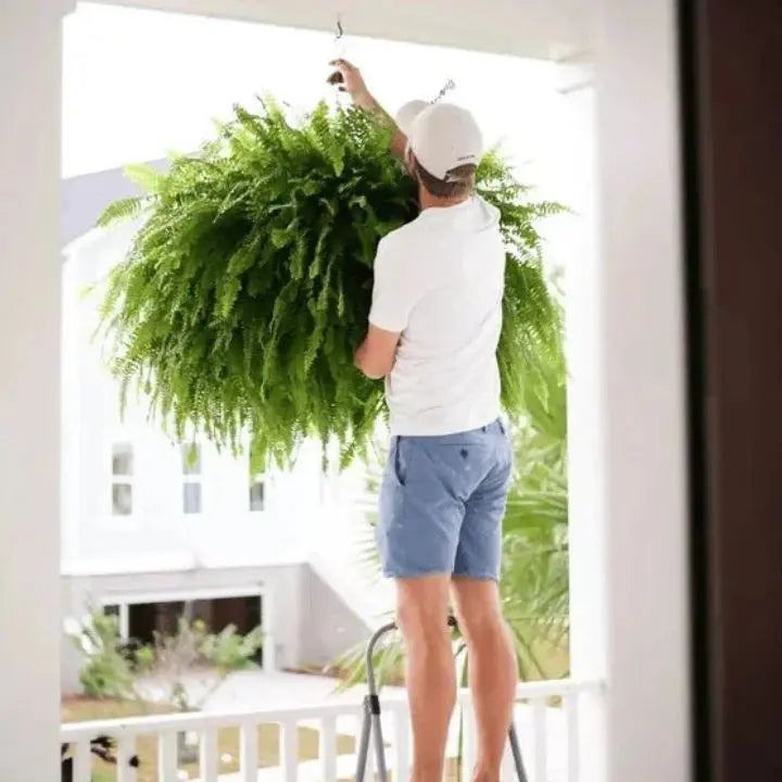 Kalsten | Artificial Boston Fern Bundle - UV resistant & easy to care for (18 stems)