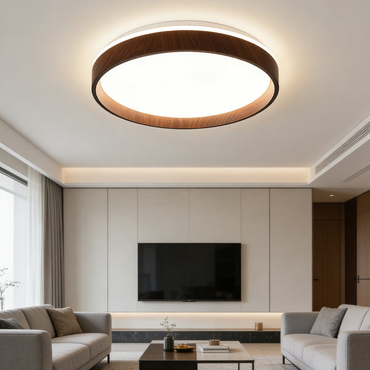 Ceiling Light Acrylic Round 15.7 in 2.8 in Indoor Bedroom Living Room LED Modern Minimalist Flush Mount Fixture | Kalsten