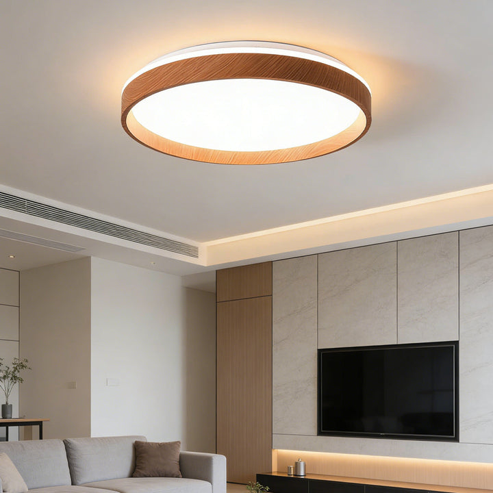 Ceiling Light Acrylic Round 15.7 in 2.8 in Indoor Bedroom Living Room LED Modern Minimalist Flush Mount Fixture | Kalsten
