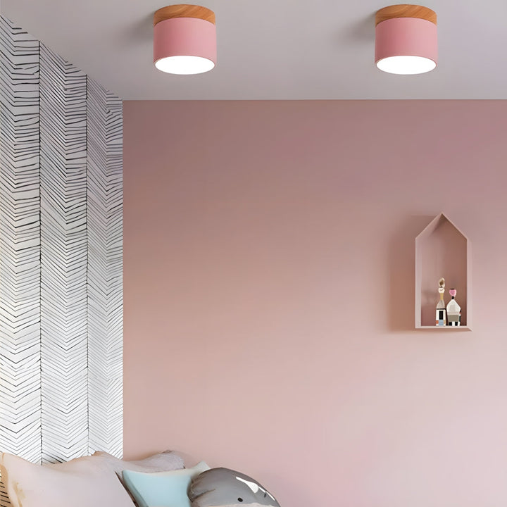 Ceiling Light Aluminum Mini Cylinder 2.8 in x 2.4 in Indoor Hallway Living Room Bedroom Modern Lighting | Kalsten