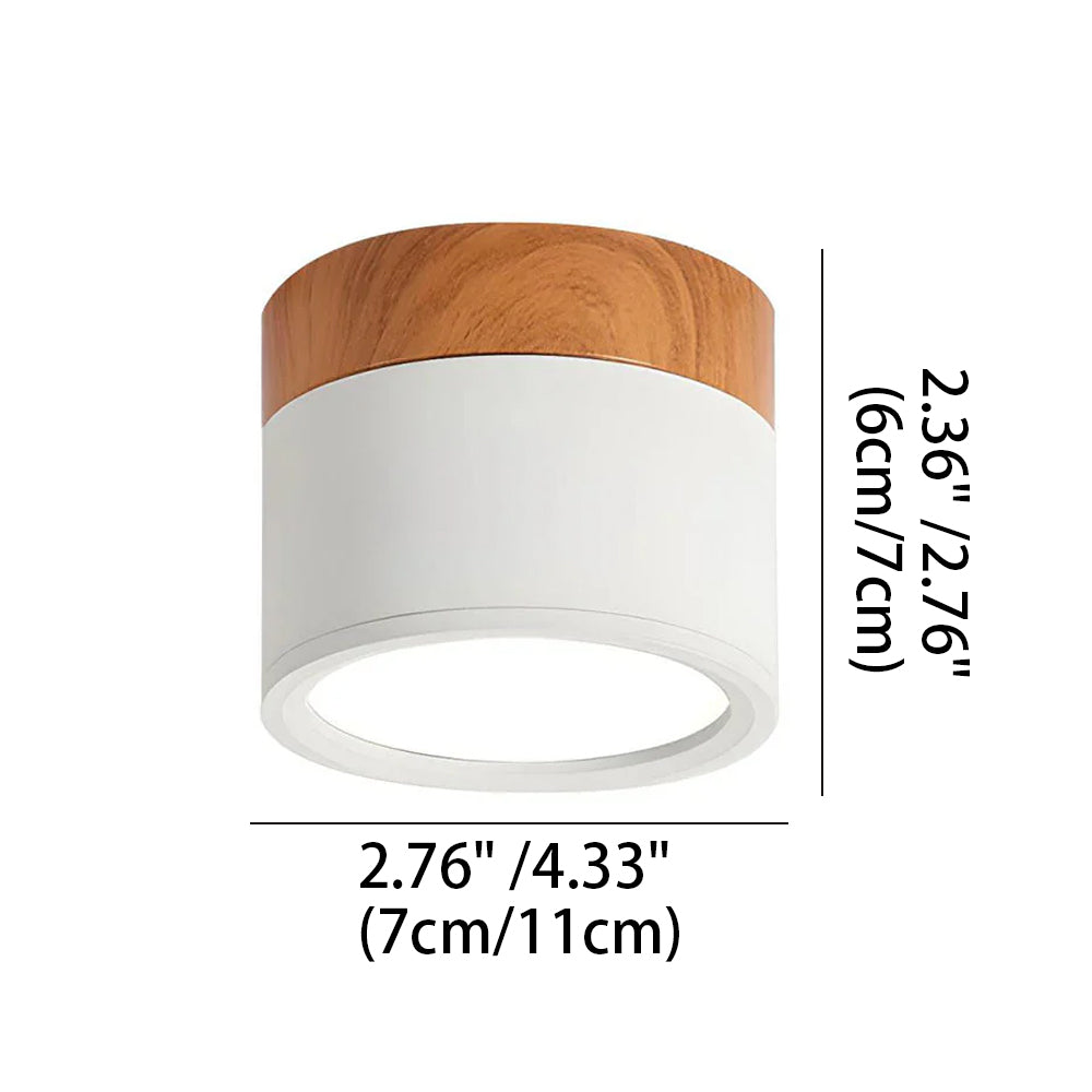 Ceiling Light Aluminum Mini Cylinder 2.8 in x 2.4 in Indoor Hallway Living Room Bedroom Modern Lighting | Kalsten