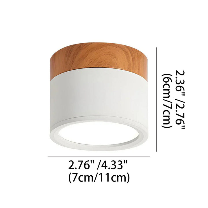 Ceiling Light Aluminum Mini Cylinder 2.8 in x 2.4 in Indoor Hallway Living Room Bedroom Modern Lighting | Kalsten