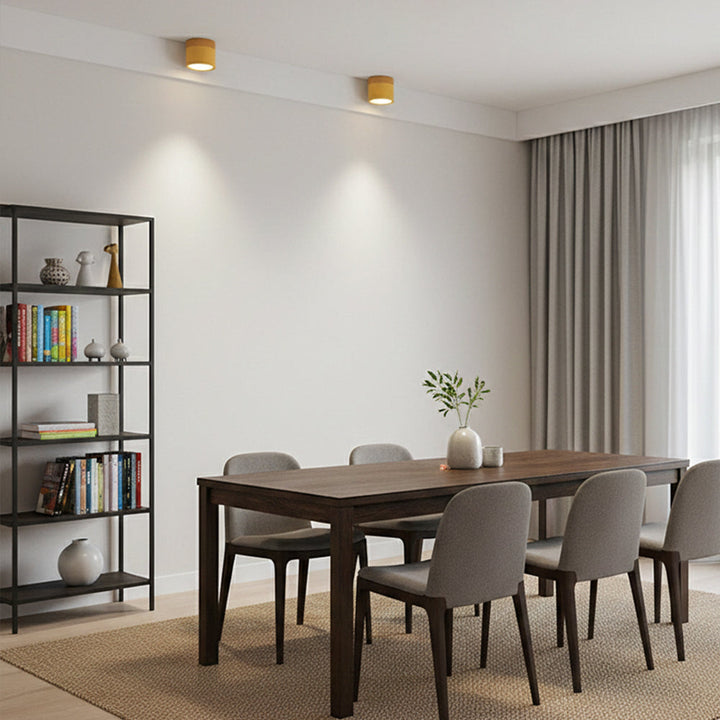 Ceiling Light Aluminum Mini Cylinder 2.8 in x 2.4 in Indoor Hallway Living Room Bedroom Modern Lighting | Kalsten