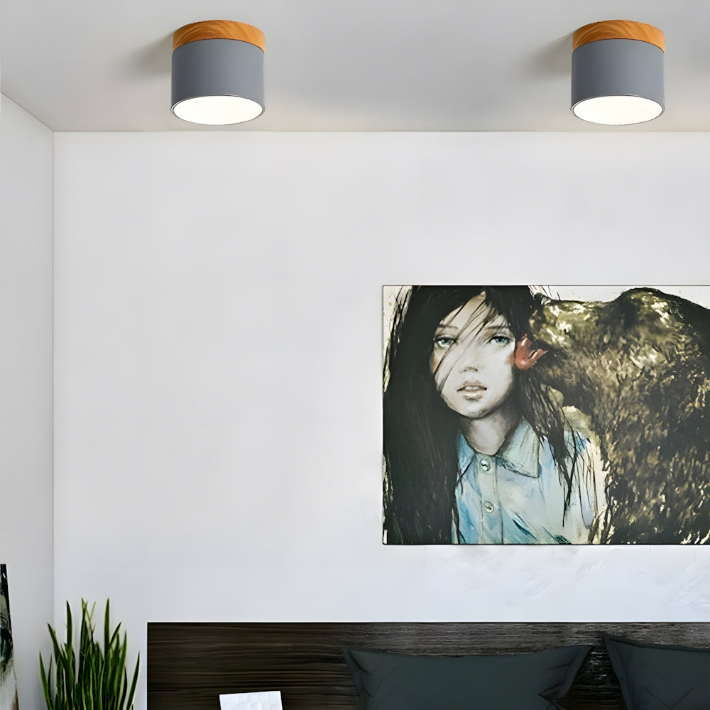 Ceiling Light Aluminum Mini Cylinder 2.8 in x 2.4 in Indoor Hallway Living Room Bedroom Modern Lighting | Kalsten