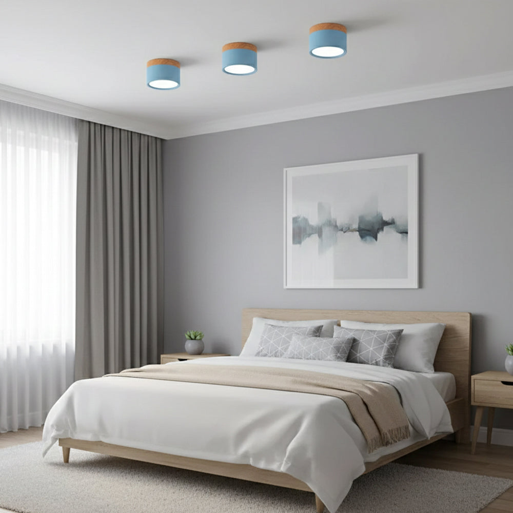 Ceiling Light Aluminum Mini Cylinder 2.8 in x 2.4 in Indoor Hallway Living Room Bedroom Modern Lighting | Kalsten
