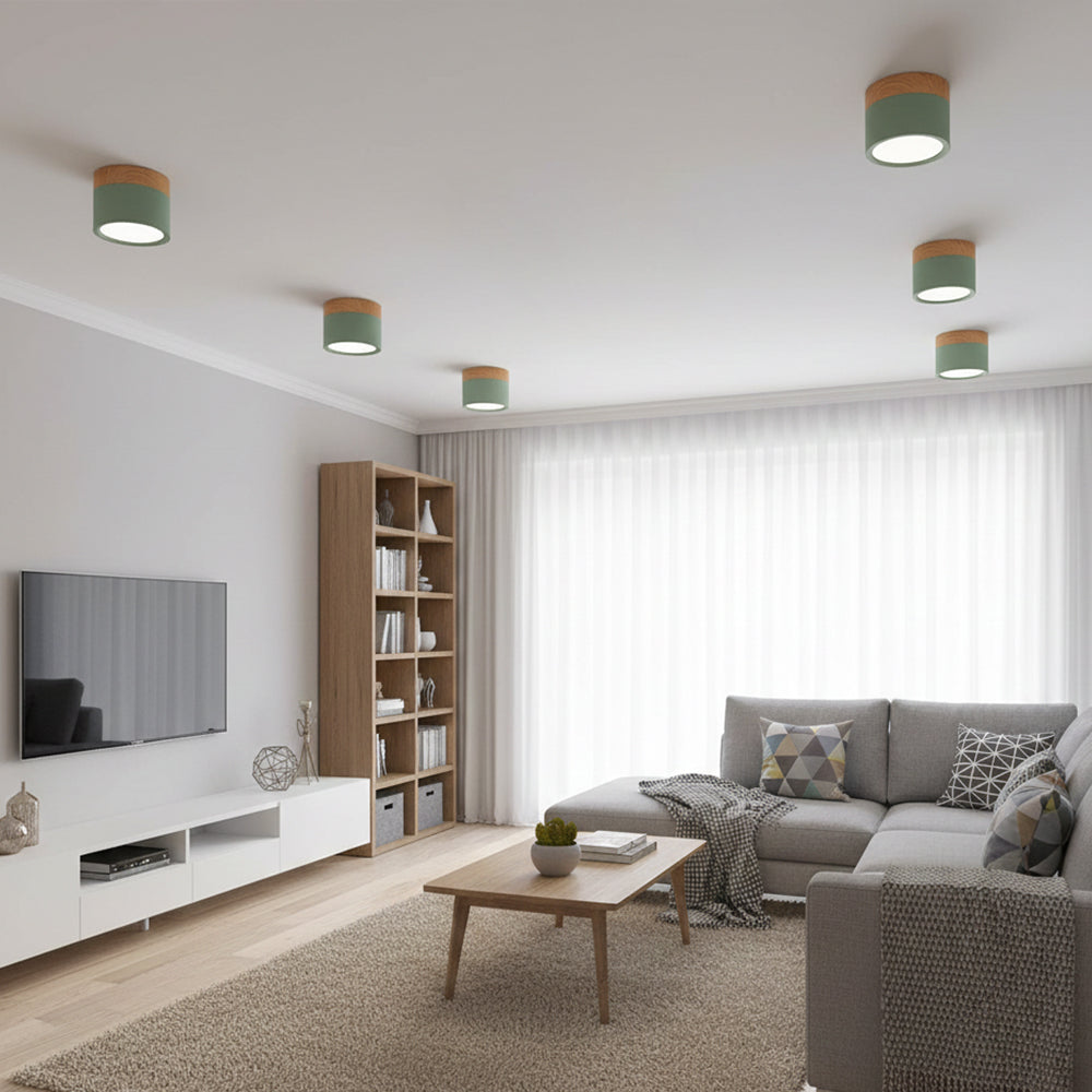 Ceiling Light Aluminum Mini Cylinder 2.8 in x 2.4 in Indoor Hallway Living Room Bedroom Modern Lighting | Kalsten