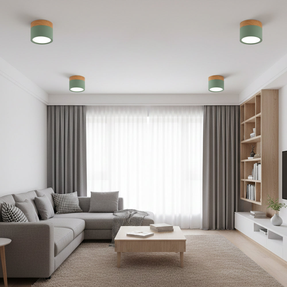 Ceiling Light Aluminum Mini Cylinder 2.8 in x 2.4 in Indoor Hallway Living Room Bedroom Modern Lighting | Kalsten