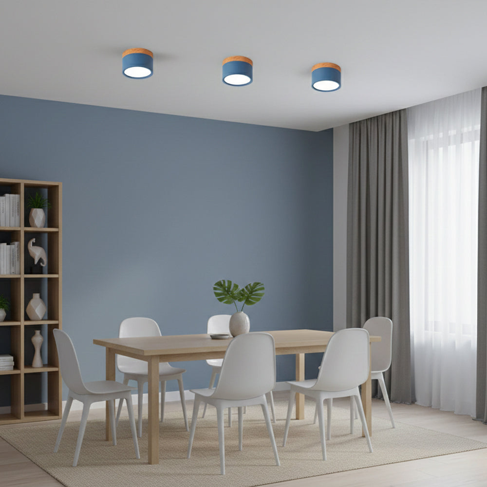 Ceiling Light Aluminum Mini Cylinder 2.8 in x 2.4 in Indoor Hallway Living Room Bedroom Modern Lighting | Kalsten