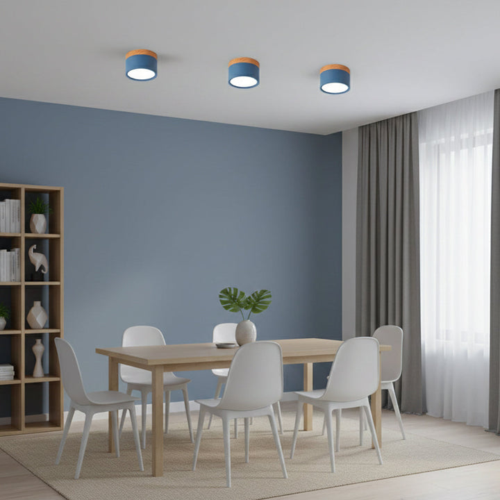 Ceiling Light Aluminum Mini Cylinder 2.8 in x 2.4 in Indoor Hallway Living Room Bedroom Modern Lighting | Kalsten
