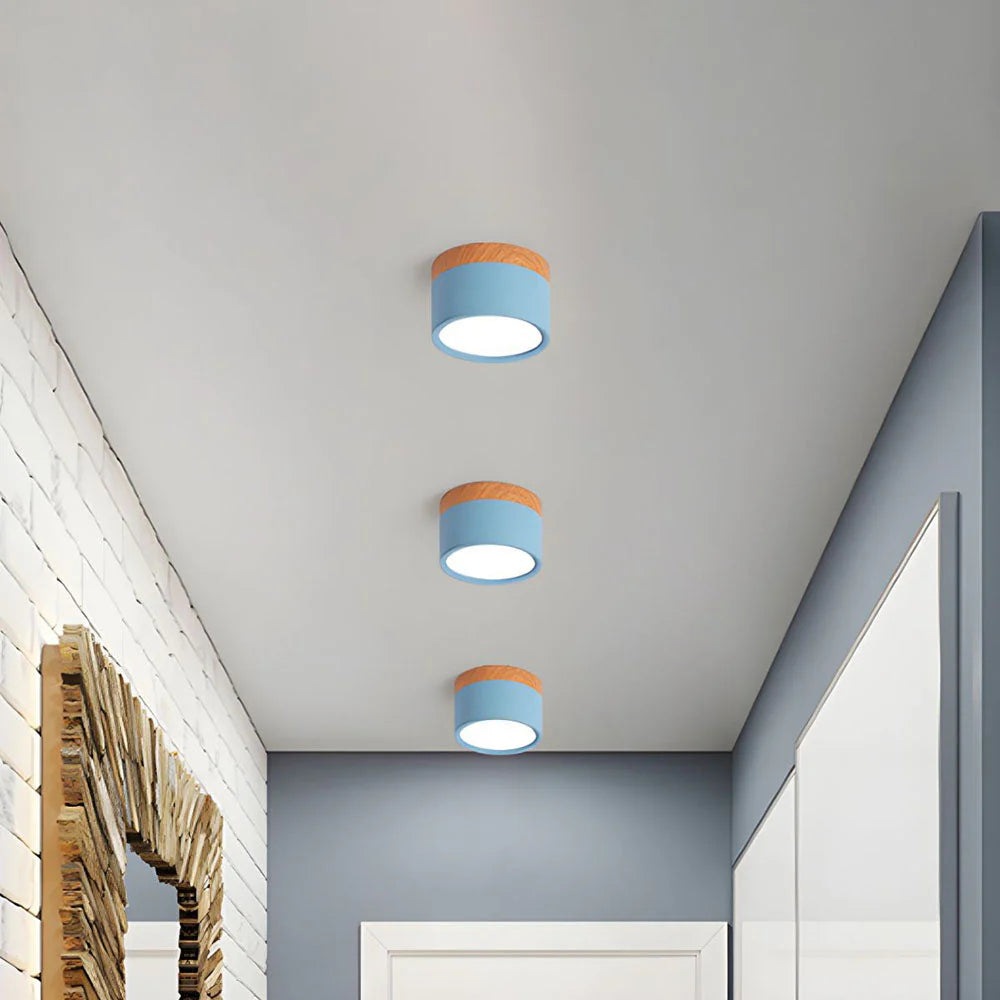 Ceiling Light Aluminum Mini Cylinder 2.8 in x 2.4 in Indoor Hallway Living Room Bedroom Modern Lighting | Kalsten