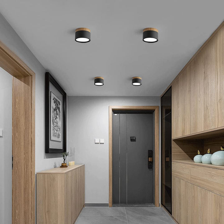 Ceiling Light Aluminum Mini Cylinder 2.8 in x 2.4 in Indoor Hallway Living Room Bedroom Modern Lighting | Kalsten
