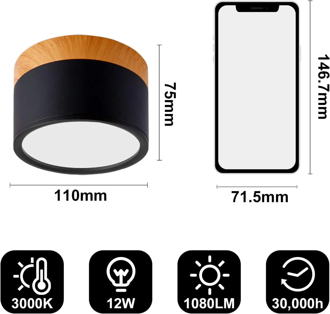 Ceiling Light Aluminum Mini Cylinder 2.8 in x 2.4 in Indoor Hallway Living Room Bedroom Modern Lighting | Kalsten