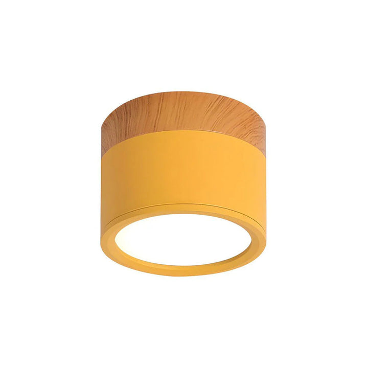 Ceiling Light Aluminum Mini Cylinder 2.8 in x 2.4 in Indoor Hallway Living Room Bedroom Modern Lighting | Kalsten