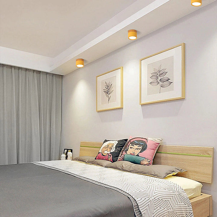 Ceiling Light Aluminum Mini Cylinder 2.8 in x 2.4 in Indoor Hallway Living Room Bedroom Modern Lighting | Kalsten
