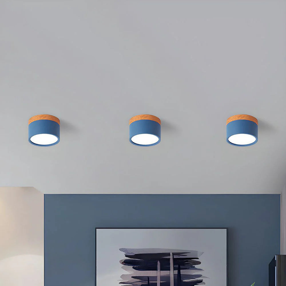 Ceiling Light Aluminum Mini Cylinder 2.8 in x 2.4 in Indoor Hallway Living Room Bedroom Modern Lighting | Kalsten