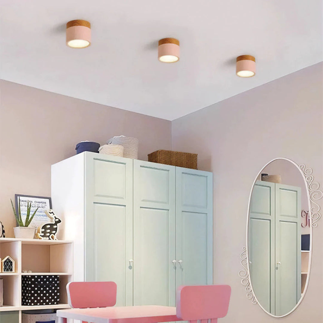 Ceiling Light Aluminum Mini Cylinder 2.8 in x 2.4 in Indoor Hallway Living Room Bedroom Modern Lighting | Kalsten