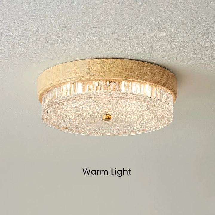 Ceiling Light Glass LED 12.6 in Indoor Bedroom Living Room Dining Room Modern Fixture | Kalsten