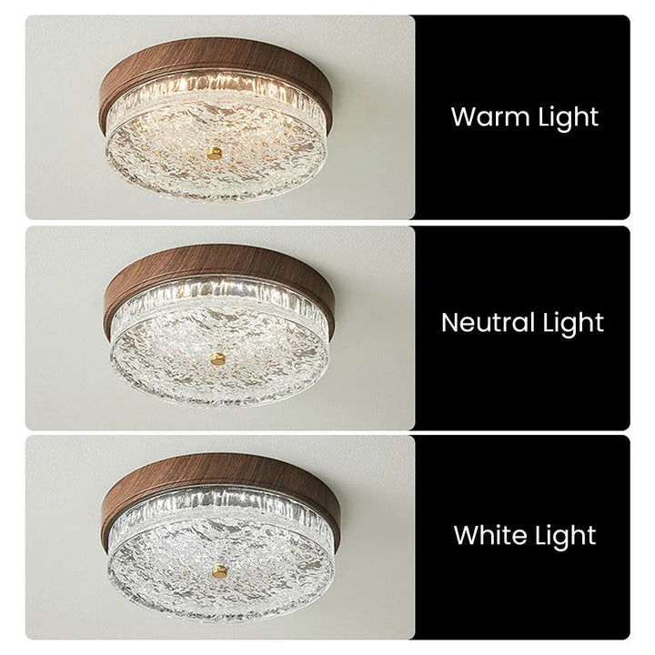 Ceiling Light Glass LED 12.6 in Indoor Bedroom Living Room Dining Room Modern Fixture | Kalsten