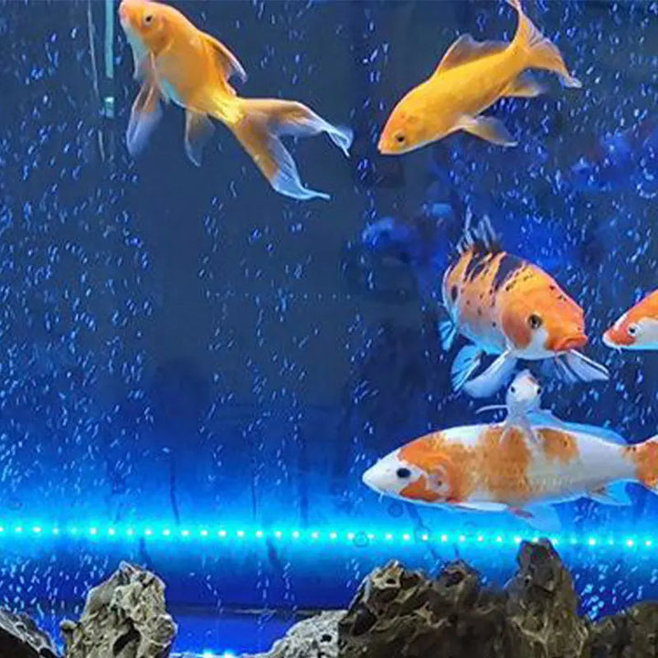 Kalsten | LED Aquarium Air Bubble with Color Change Lighting