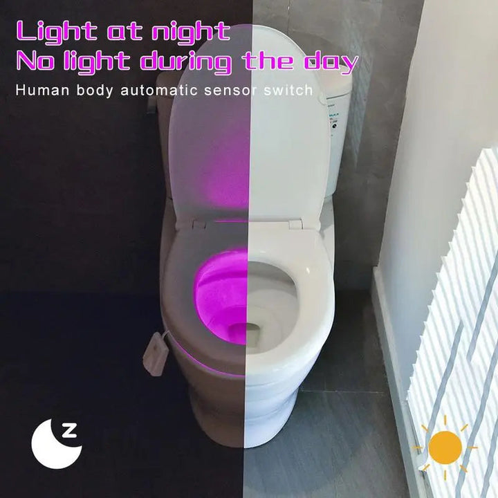 Kalsten | LED Toilet Light with Motion Sensor – Practical Gift