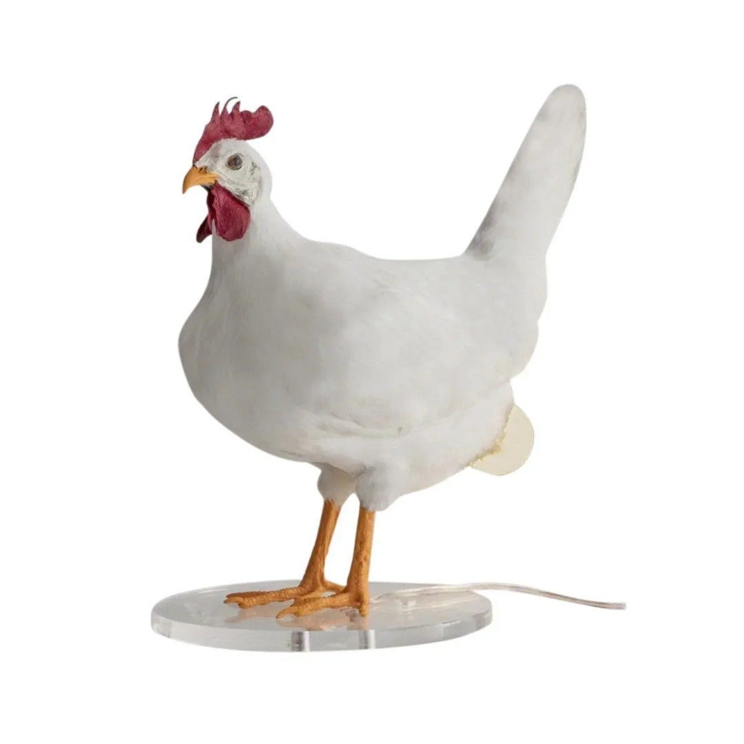 Innovative lamp for chickens - Promotes laying - Turns on and heats up | Kalsten
