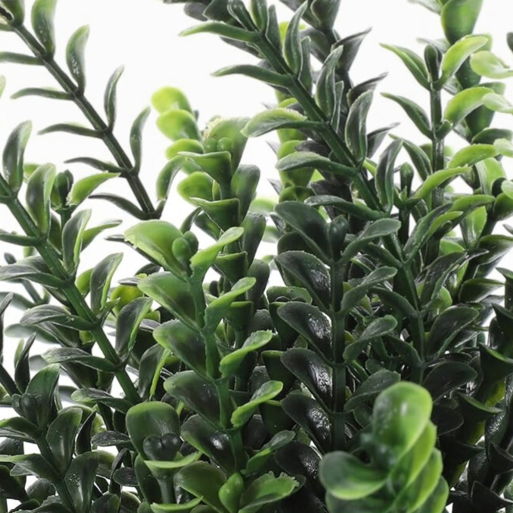 Kalsten | Leafora Artificial Plants in Modern Pots Decor | 3pcs Set