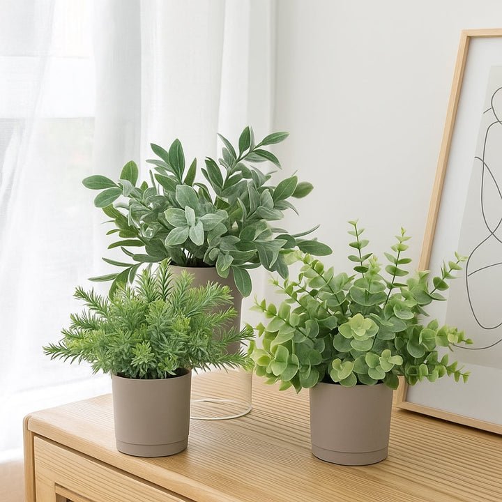 Kalsten | Leafora Artificial Plants in Modern Pots Decor | 3pcs Set