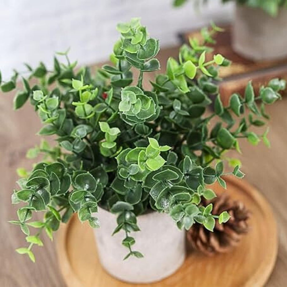 Kalsten | Leafora Artificial Plants in Modern Pots Decor | 3pcs Set