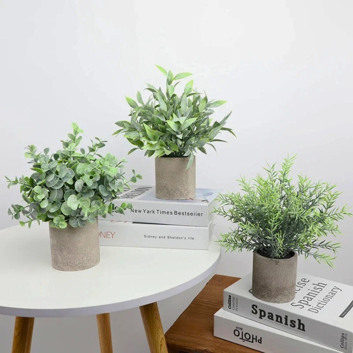 Kalsten | Leafora Artificial Plants in Modern Pots Decor | 3pcs Set
