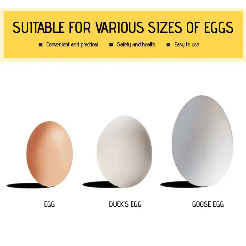 Kalsten | Luxurious Egg Opener made of Stainless Steel – Perfect for Breakfast Eggs & Soft Boiled Eggs
