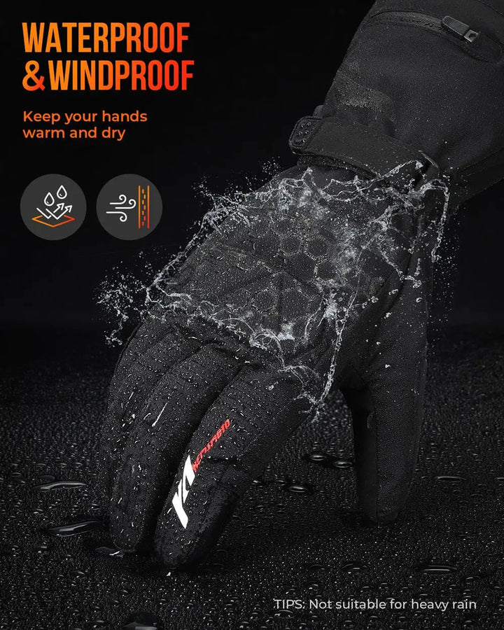 Winter Gloves