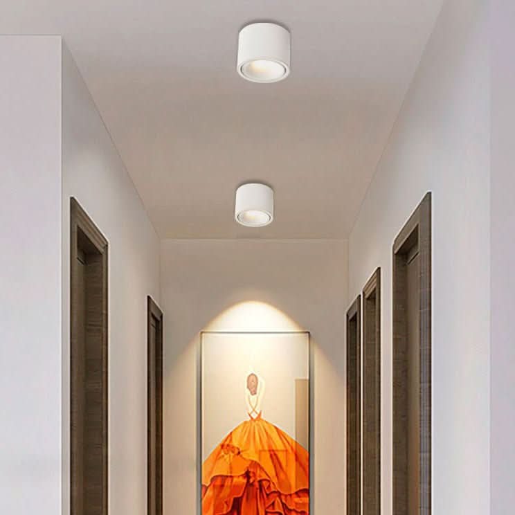BowLift | Minimalist ceiling light with adjustable light spot