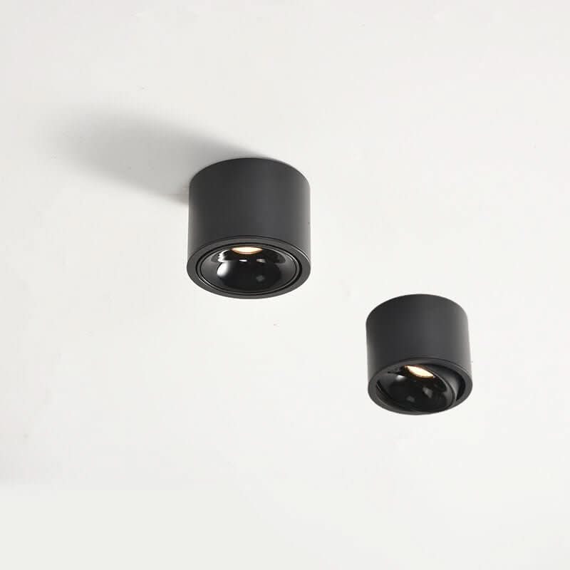 BowLift | Minimalist ceiling light with adjustable light spot