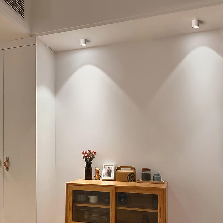 Metal Ceiling Light 3.1 in x 3.3 in White Indoor Modern Flush Mount LED Fixture Warm Neutral Cool | Kalsten