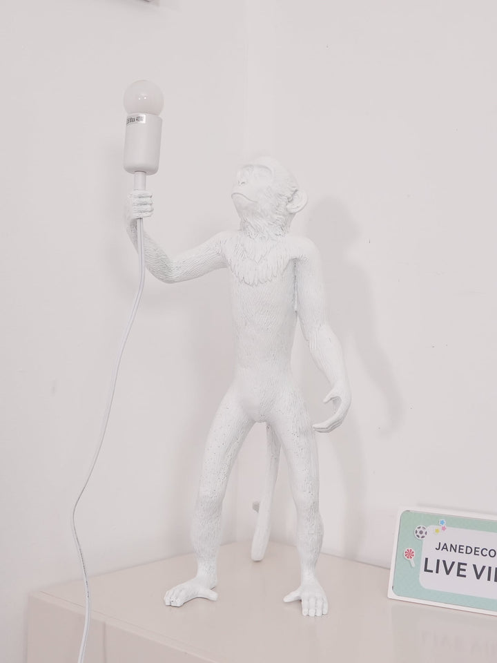 Monkey Desk lamp Table Lamp | Kalsten
