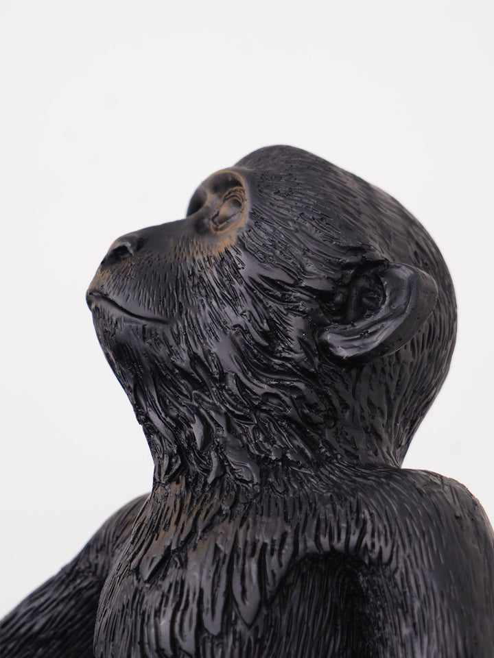 Monkey Desk lamp Table Lamp | Kalsten
