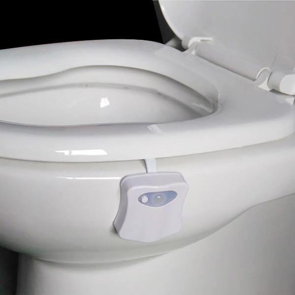 Motion Activated Disco Toilet Bowl Light | Kalsten