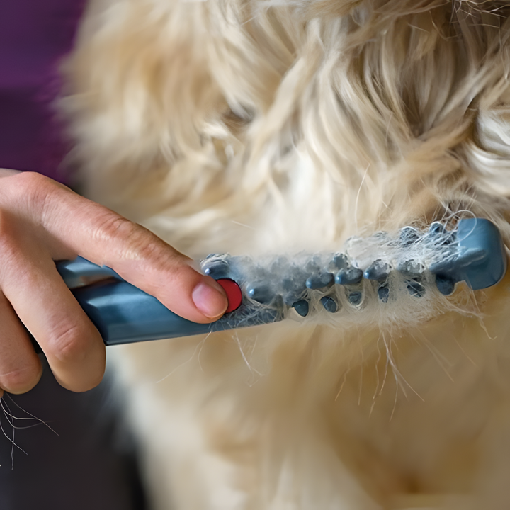 Kalsten | Pet Grooming Comb Plastic Detangling Tool