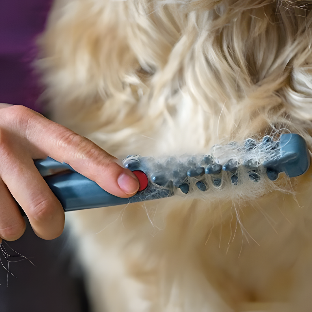 Kalsten | No more knots and tangles for your pet