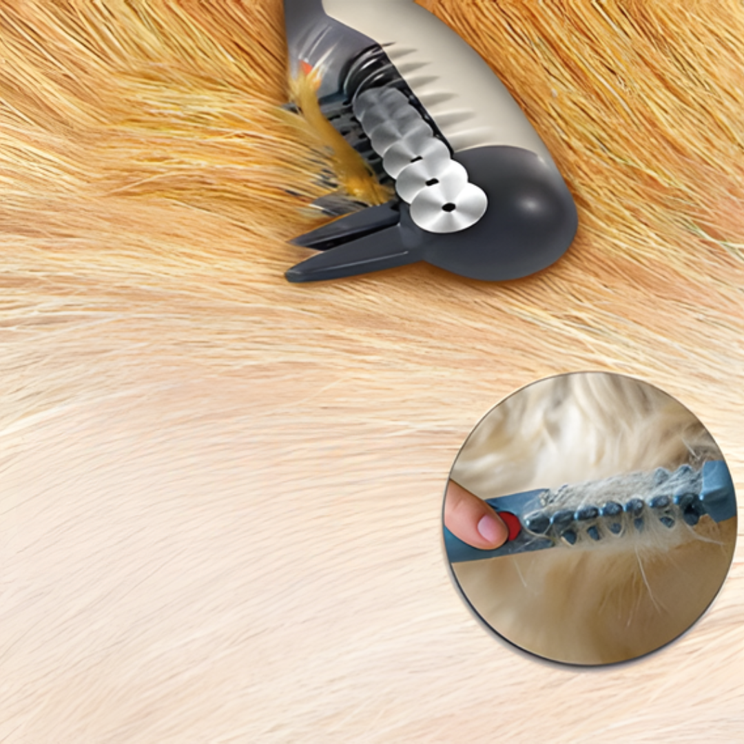 Kalsten | No More Knots and Tangles for Pets