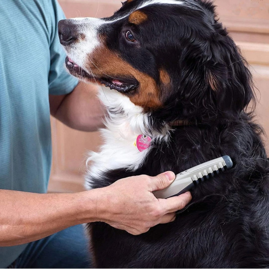 Kalsten | Pet Grooming Comb Plastic Detangling Tool