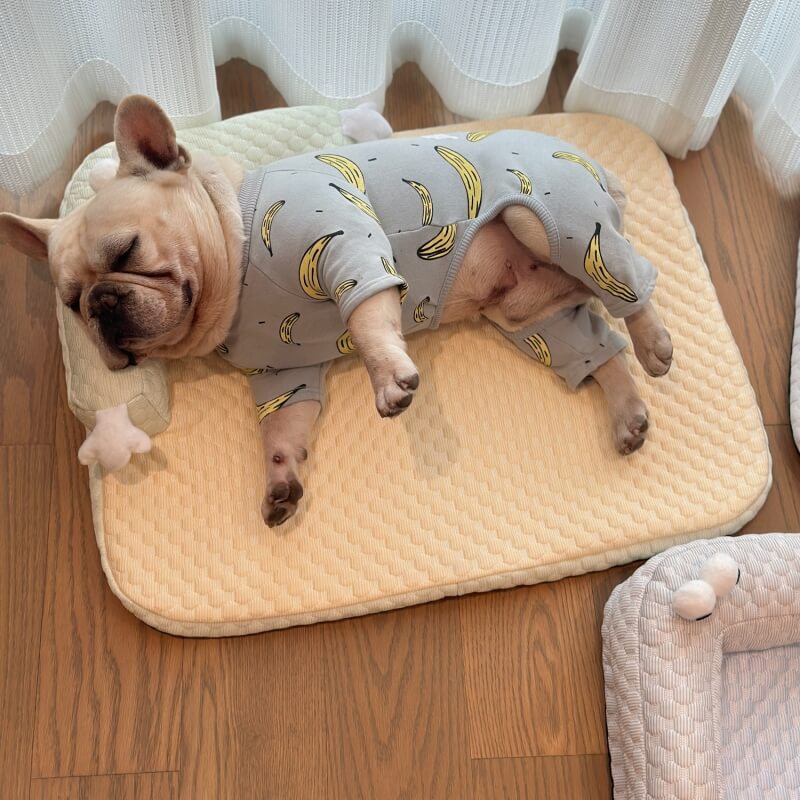 FrostyPaws | Cooling Pet Bed | Karnz