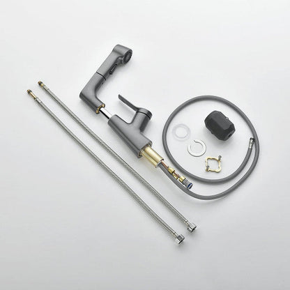Skanto | Vanity Faucet with Swivel, Pull-out Hand Shower