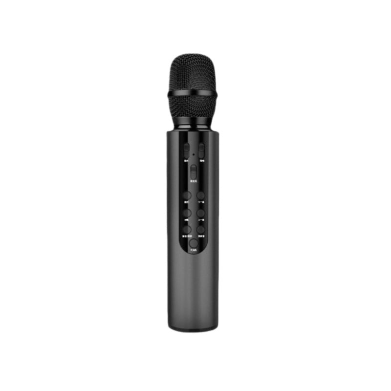 Karaoke Microphone Kalsten