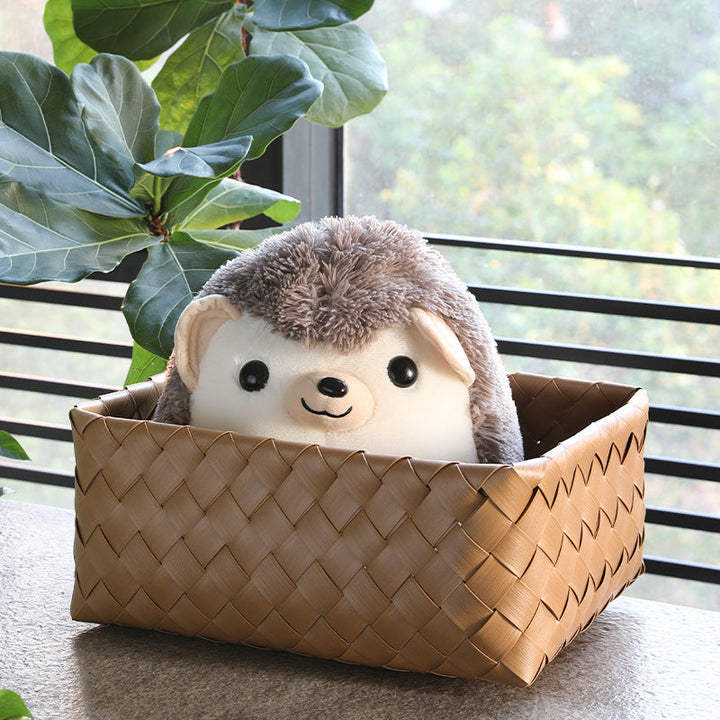 Handwoven Storage Tray Kalsten