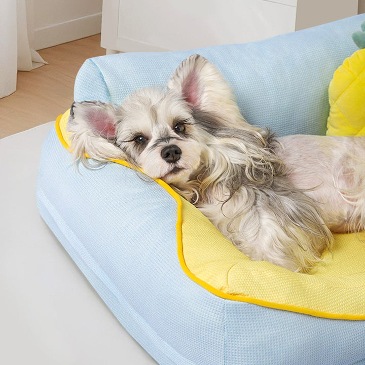 Cozy Bolstered Dog Bed Sofa