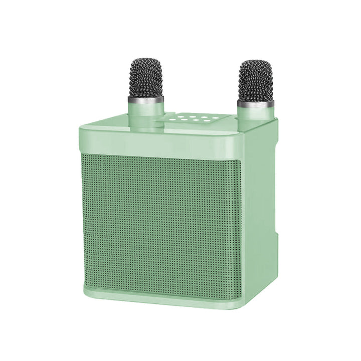Wireless Karaoke Speaker System with Dual Microphones Kalsten
